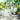 Summer Entertaining